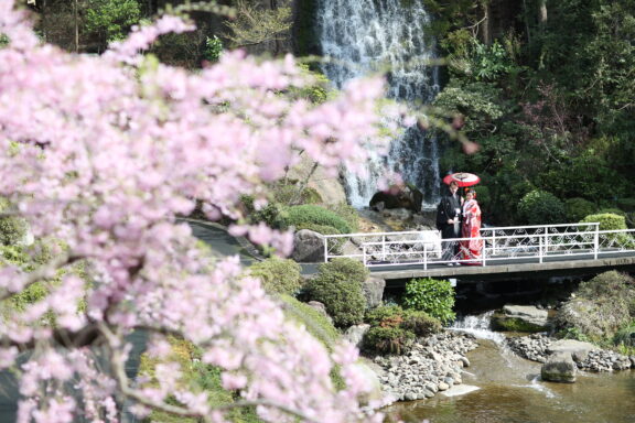 【期間限定】色鮮やかな枝垂桜の庭園で撮影◆広大なロケーションフォトプラン