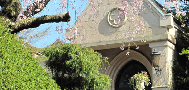 神殿や桜、滝、錦鯉が泳ぐ庭園のフォトスポット