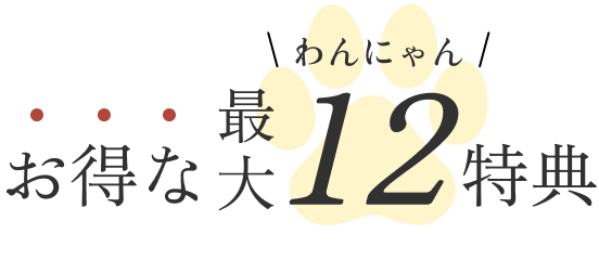 お得な12大特典