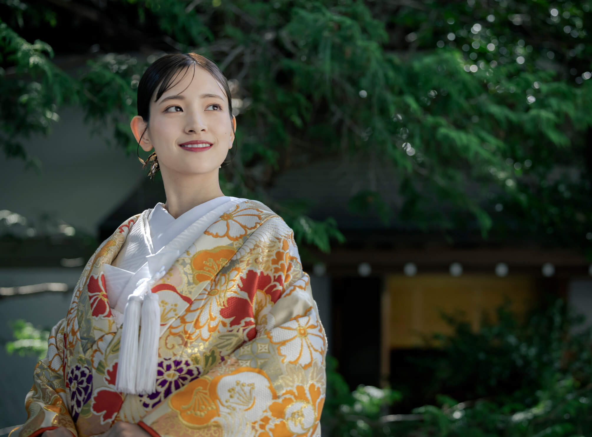 衣裳 メインイメージ