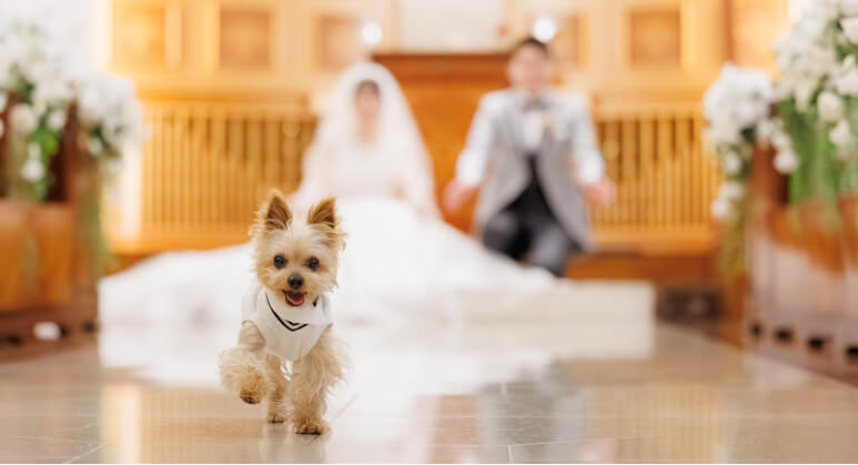大切な家族・ペットも参加できる結婚式